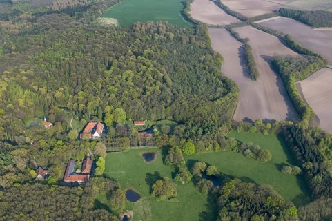 Dinklage Castle Monastery