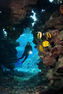 Diver in underwater cave