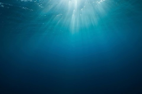 Sunbeams in the water