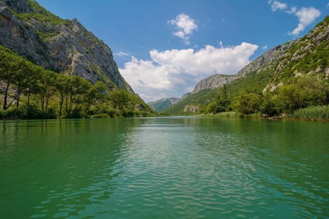 Omis