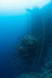 Upright tuna boat wreck