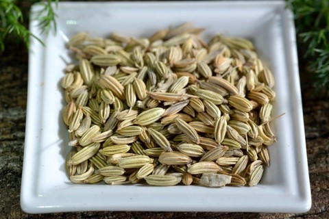 Fennelseeds