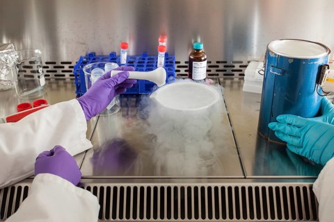 Female scientists of the biology department during RNA isolation and genetic engineering in the laboratories of the University of Duisburg-Essen
