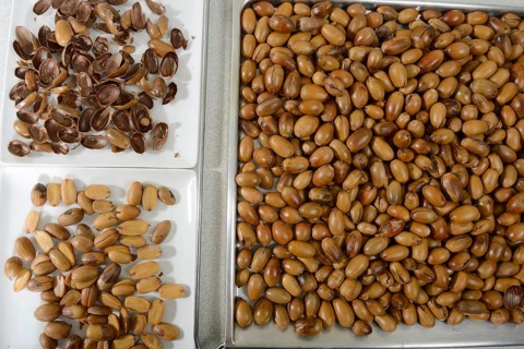 Acorns roasted