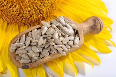 Hulled sunflower seeds