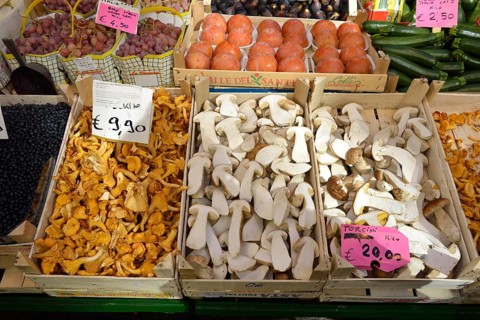Market stall with mushrooms