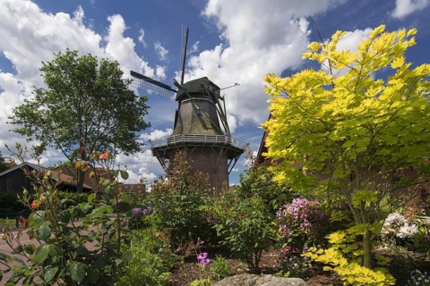 Gallery-Hollaender-Windmuehle