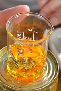 Production of yarrow and marigold ointment