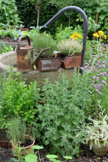 Vegetable and herb garden
