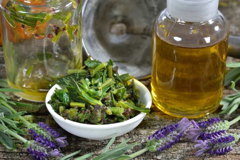Production Lavender oil