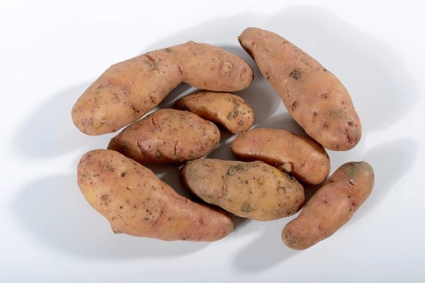 Potatoes