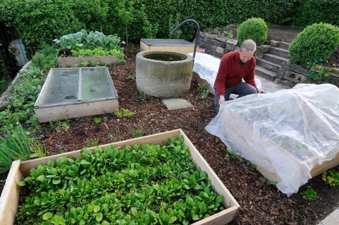 Creation of organic garden