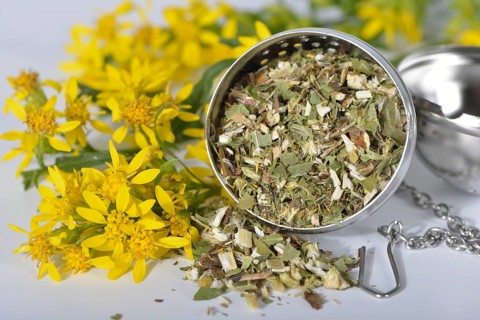 Goldenrod