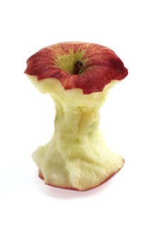 Malus domestica