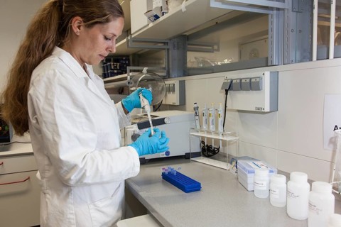 Scientist of biology pipetting in the genetic engineering area of the laboratories of the University of Duisburg-Essen