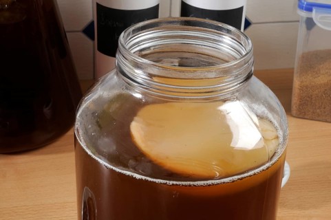 Kombucha