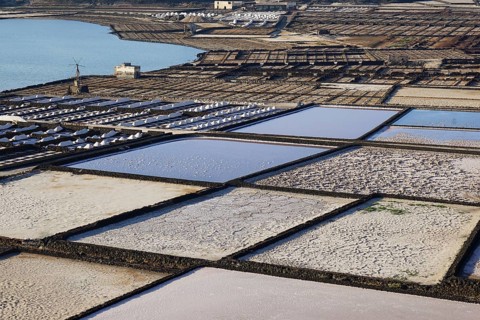 Salinas de Janubio