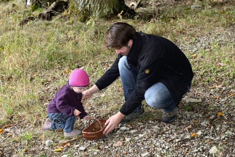 Collecting acorns