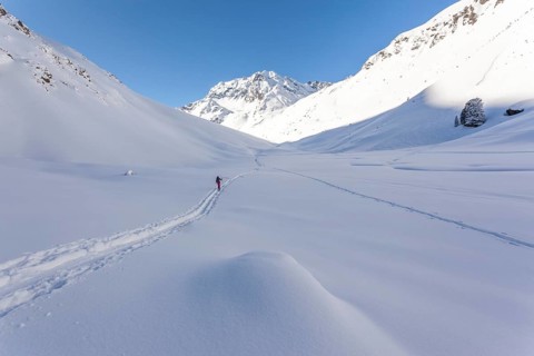 Lonely ski tourer