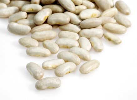 Garden bean