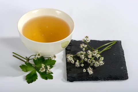 Cup of Sanikel tea