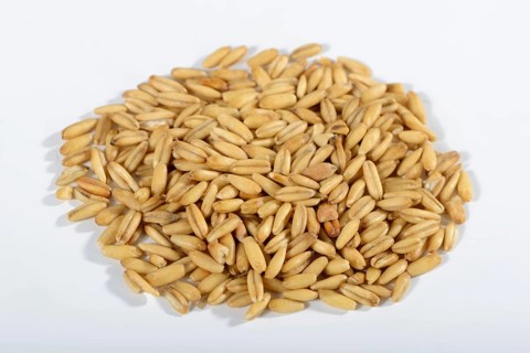 Oats