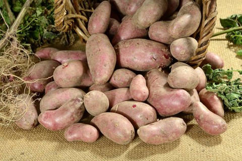 Potatoes