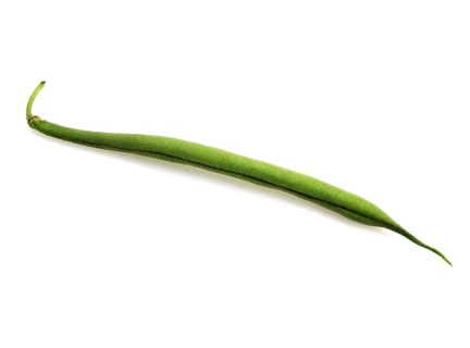 Garden Bean