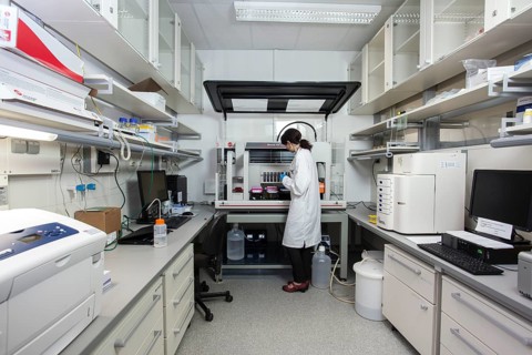Research assistant at the pipetting robot of the Faculty of Biology at the University of Duisburg-Essen during research work
