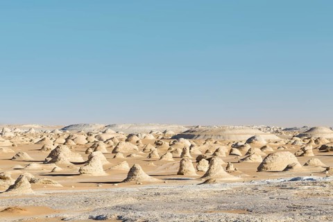 View over the white desert