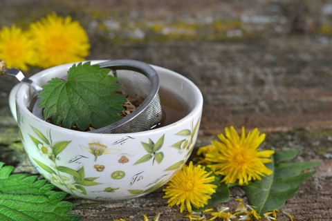 Cup of dandelion tea