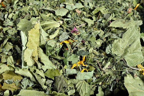 Four Season Tea