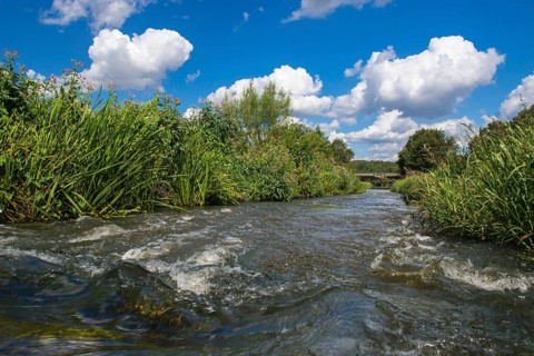 Fish ladder