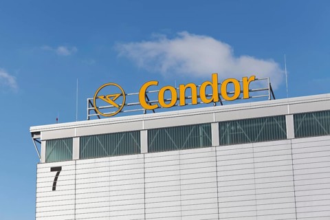 Condor