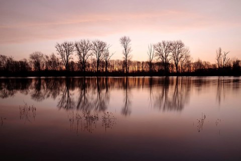 Sunrise at the Altrhein with nature reserve Bislicher Insel