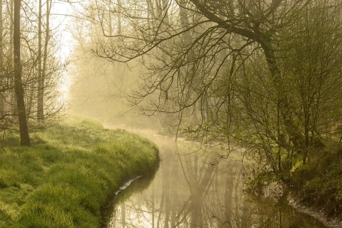 Moorbach