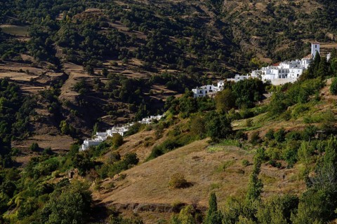 Capileira