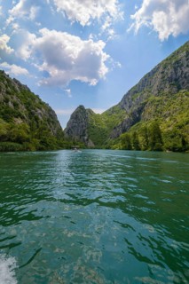 Omis