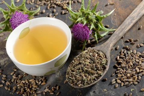 Cup of milk thistle tea