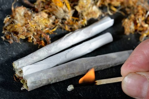 Coltsfoot-cigarettes