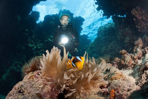 Diver in underwater cave