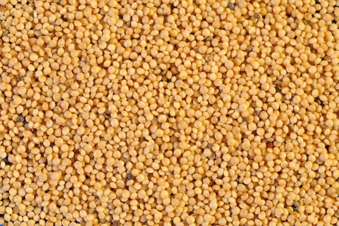 Amaranth
