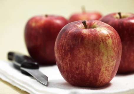 Malus domestica