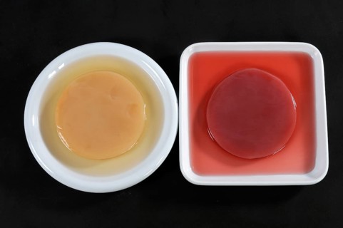 Kombucha