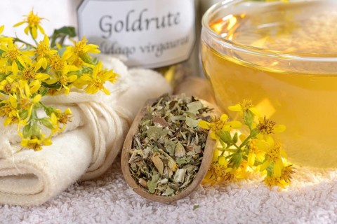 Cup goldenrod tea