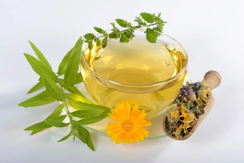 Cup herbal tea