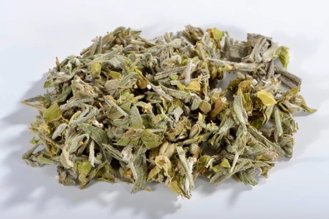 Greek mountain tea