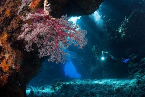 Diver in underwater cave