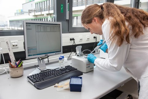 Scientist of biology pipetting in the genetic engineering area of the laboratories of the University of Duisburg-Essen