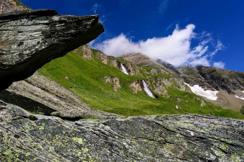 Mountain meadow
